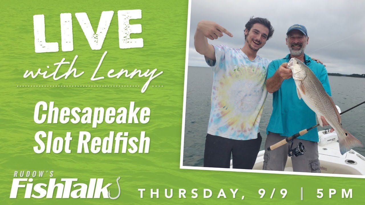 Chesapeake Bay Slot Redfish YouTube