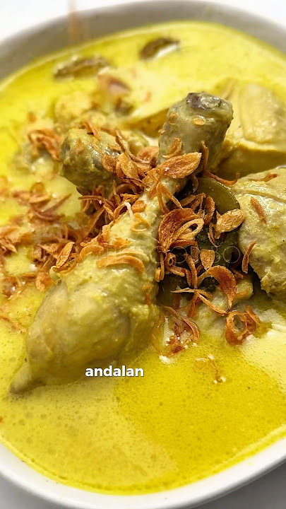 Andalan Tiap Lebaran; OPOR AYAM!