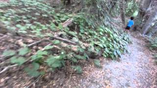 Prado Park trail