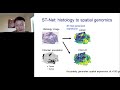 Deep learning to integrate histology with spatial transcriptomics