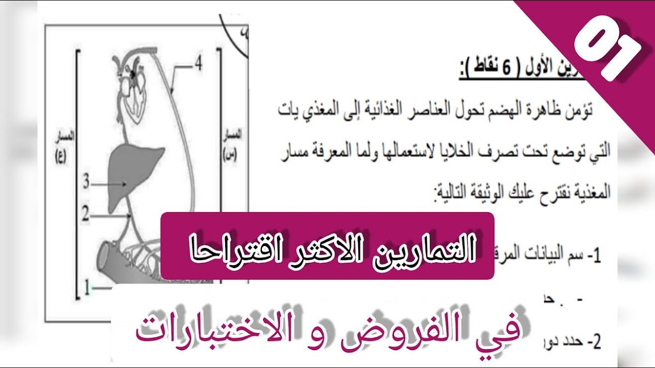 التمرين 01│حول مسار انتقال المغذيات (الطريق الدموي و الطريق اللمفاوي)│bem2026