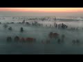 DJI Mavic 3 - Cinematic 5K Video