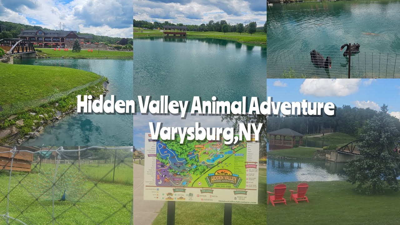 Hidden Valley Animal Adventure Varysburg, NY