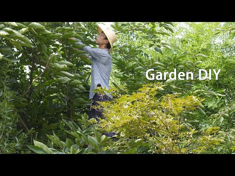 Immersive Garden Therapy – Soothing Greenery for Anxiety Relief | 4K Nature ASMR