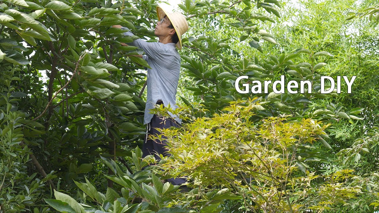 沉浸式庭院打理🌿治愈绿意缓解焦虑｜4K自然白噪音