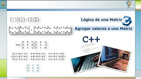 Lógica de Matrices - Programación