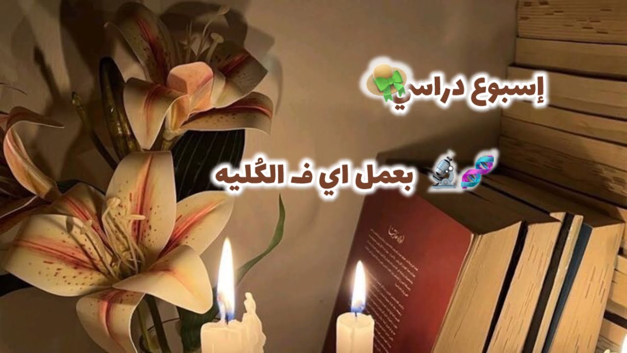 إسبوع ف نوڤمبر🙈😍يومين دراسه ويومين امتحانات واهي ماشيه!!!'