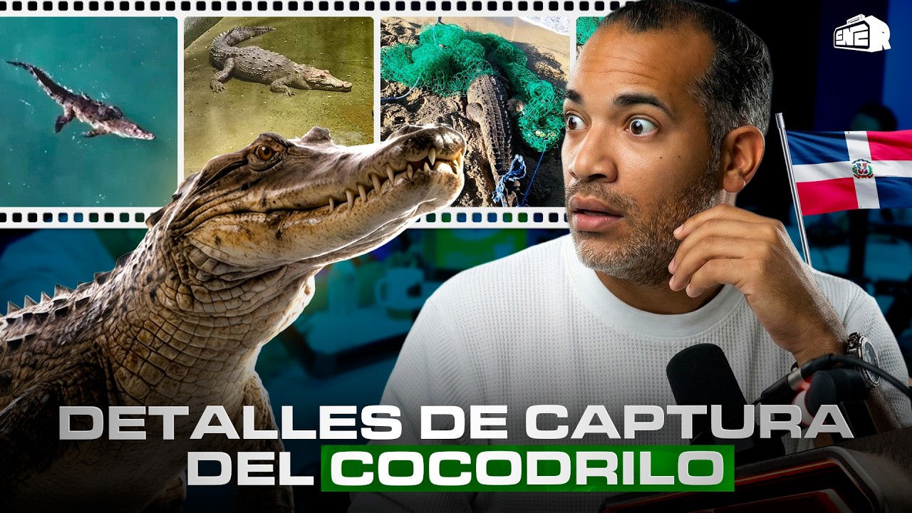 BRITO REVELA DETALLES DE LA CAPTURA DEL COCODRILO Y SU FUTURO EN PUERTO PLATA