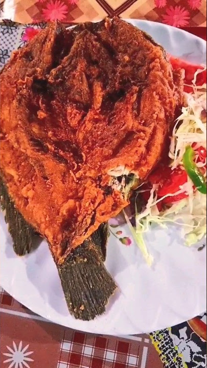 fried chambo fish lake Malawi #shortsafrica #creativitydecoded #food #lakemalawi #youtube #foodie