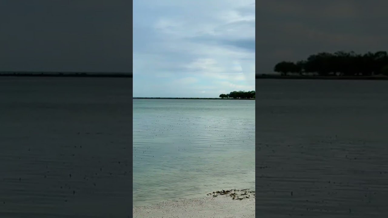 30seconds #asmrsounds #breathe #ocean #views