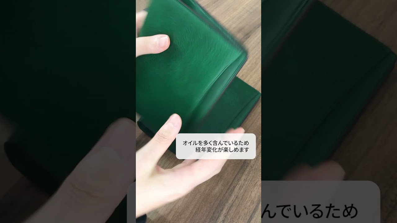 2024年の手帳会議】Brelio×NAGASAWA ブッテーロボックス グリーン 