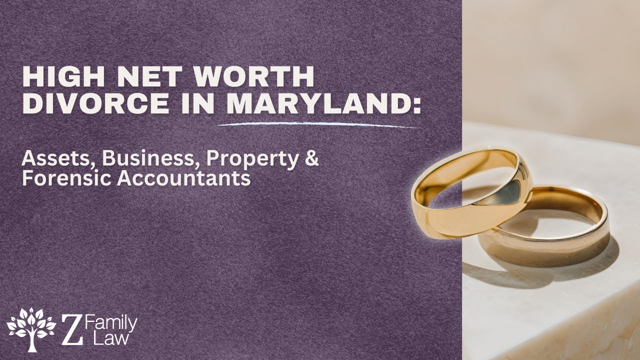 Развод с участием состоятельных лиц в Мэриленде: активы, бизнес, недвижимость и услуги судебно-бу...