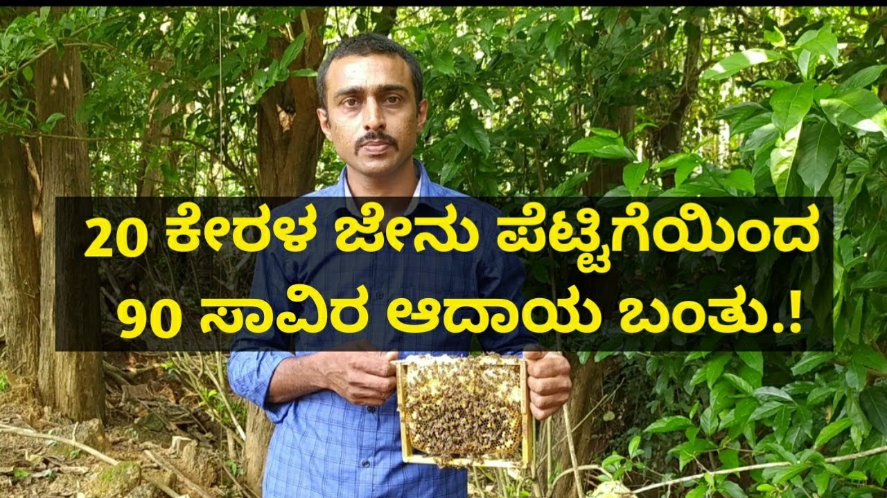 ಕೇವಲ 20 ಕೇರಳ ಜೇನು ಪೆಟ್ಟಿಗೆಯಿಂದ 90 ಸಾವಿರ ಆದಾಯ ಬಂತು.! ಈ ವರ್ಷ 30 ಪೆಟ್ಟಿಗೆ ಯಿಂದ 1.5 ಲಕ್ಷ ಆದಾಯ ಬರುತ್ತೆ.!