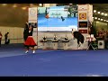 Танцы с собаками "Евразия - 2015". Dog Dancing. Canine Freestyle.