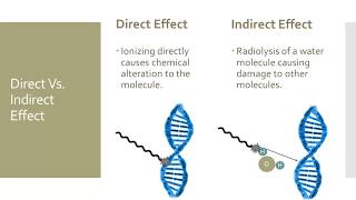 Effects of Radiation on Cells