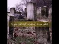 أتيت القبور فناديتها مبروك زيد الخير الدكتور مبروك زيد الخير الشيخ مبروك زيد الخير