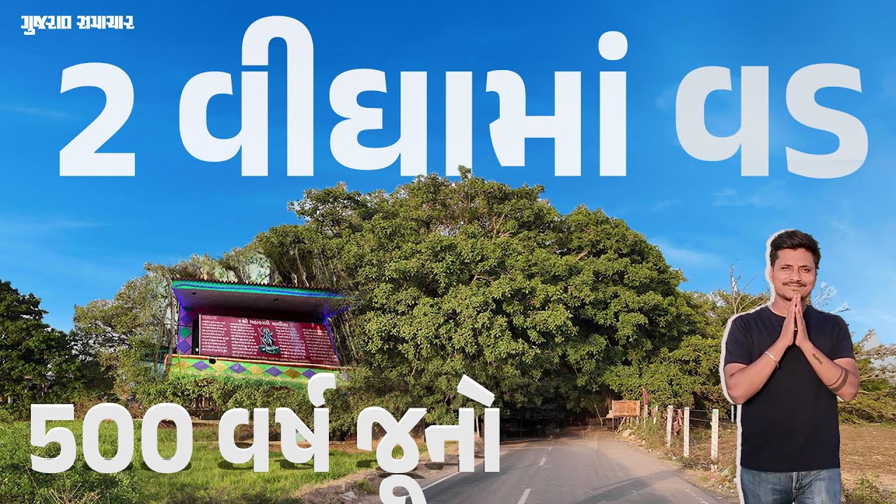 Ahmedabad નજીક 2 વીઘામાં 500 વર્ષ જૂનો વડલો, મહાકાળી માતાજી છે બિરાજમાન | Kantharpur Mahakali Vad