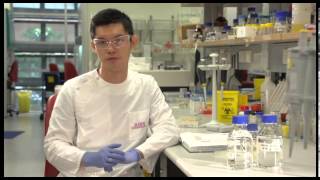 New-generation vaccination using virus-like particles