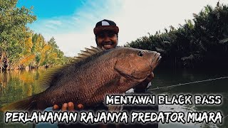 sensasi casting rajanya predator muara !!! || BASS HITAM MENTAWAI