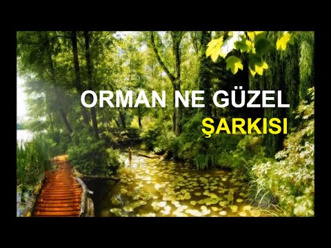 Orman Ne Guzel Sarkisi Cocuk Sarkilari Youtube