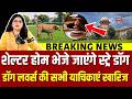 SC On Stray Dogs : Stray Dogs पर Supreme Court ने किसकी लगा दी क्लास? कोर्ट में क्या हुआ? | Breaking