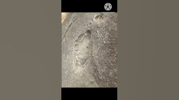 Thumbnail of Strange footprints left on an igneous #shorts #geology #geología