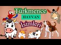 Türkmence Evcil ve Çiftlik Hayvan İsimleri