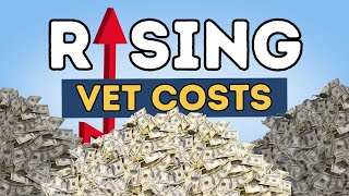 Escalating Vet FEES: Big Business is TAKING OVER Veterinarians