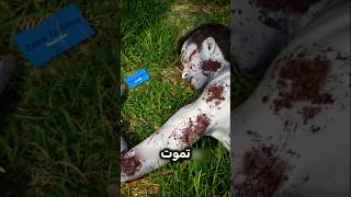 سبب تعفن الجسم بعد الموت سمعها