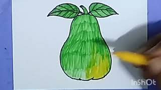 Guava Drawing And Colouring Video Step By Step|