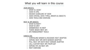 Complete SAP PO REST Adapter Configuration with API Basics