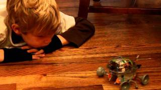 Chrsitmas Ladybug Bot