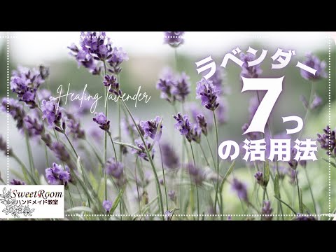 ラベンダークラフト初心者必見！7つの簡単アイデアと失敗しないコツ
