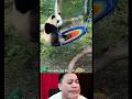 Funny gamer p2 lequannhan comedy cute popsww funny voice trending panda meme