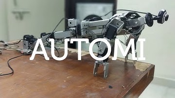 Brief History of "Humanoid_IITK"