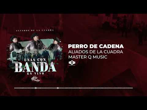 Perro De Cadena