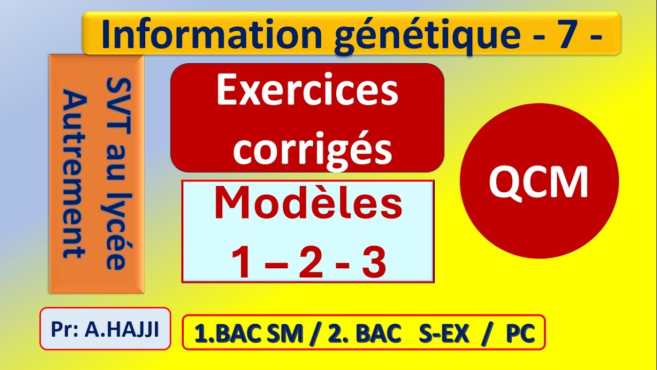 Exercices OCM corrigés: information génétique - modèles 1-2-3