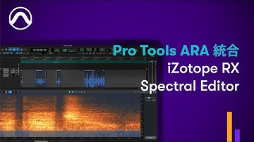 Pro Tools ARA 統合 iZotope RX Spectral Editor
