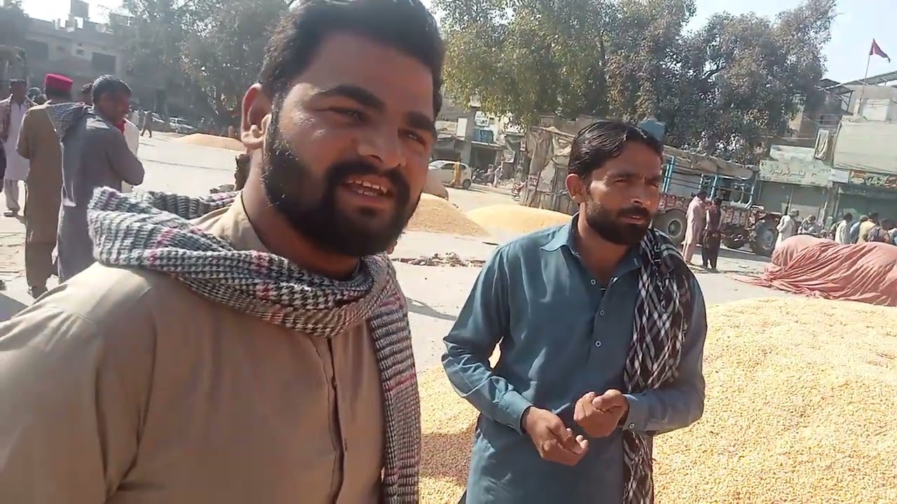 Pakpattan galla Mandi makki rate 3400