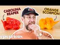 Pepper x creator ed currie tastes 10 of the hottest peppers in the world  epicurious