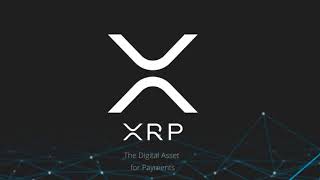 Frenqle - XRP SONG
