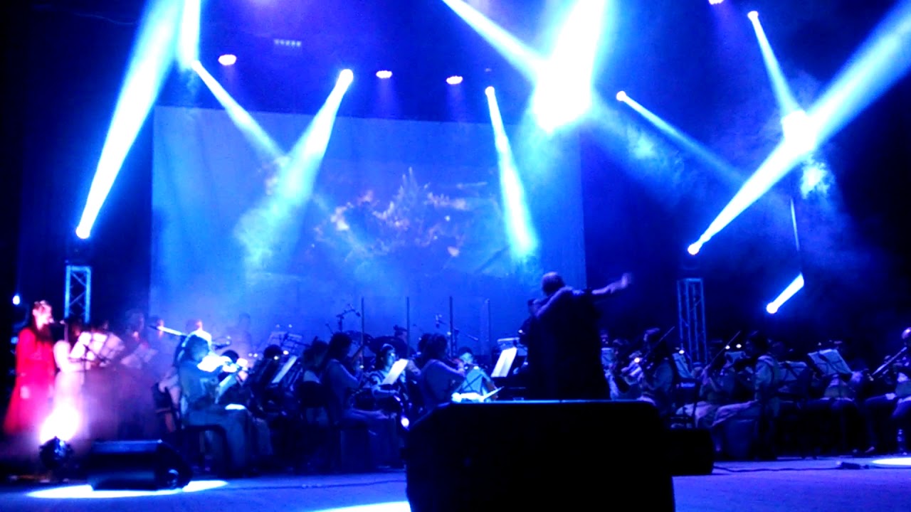 Оркестр Lord of the sound. Music is coming. Тема из Skyrim. концерт в Черновцах