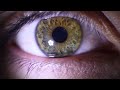 Lo que el ojo no ve documentales  interesantes de history channel en espaol