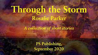 Through the Storm by Rosalie Parker
