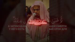 Асаламу Алейкум 👋 мои дорогие  братья и сёстры Мусульман Напоминание мне и вам 😊❤✅  #напоминание
