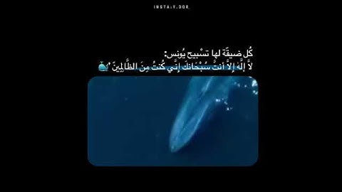 راحة نفسية 💙🕊 || حالات واتس اب قران كريم بصوت شريف مصطفى || آية قرانية قصيرة راحة لقلبك #الله #قران