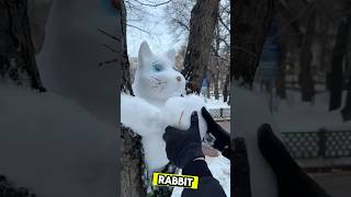 This Man Make Snow Rabbit to Catch Real Rabbit | Will It Work ๐ค #trending #animals #trending Profile