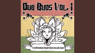 Radikal Dub Soundsystem - Dub Love