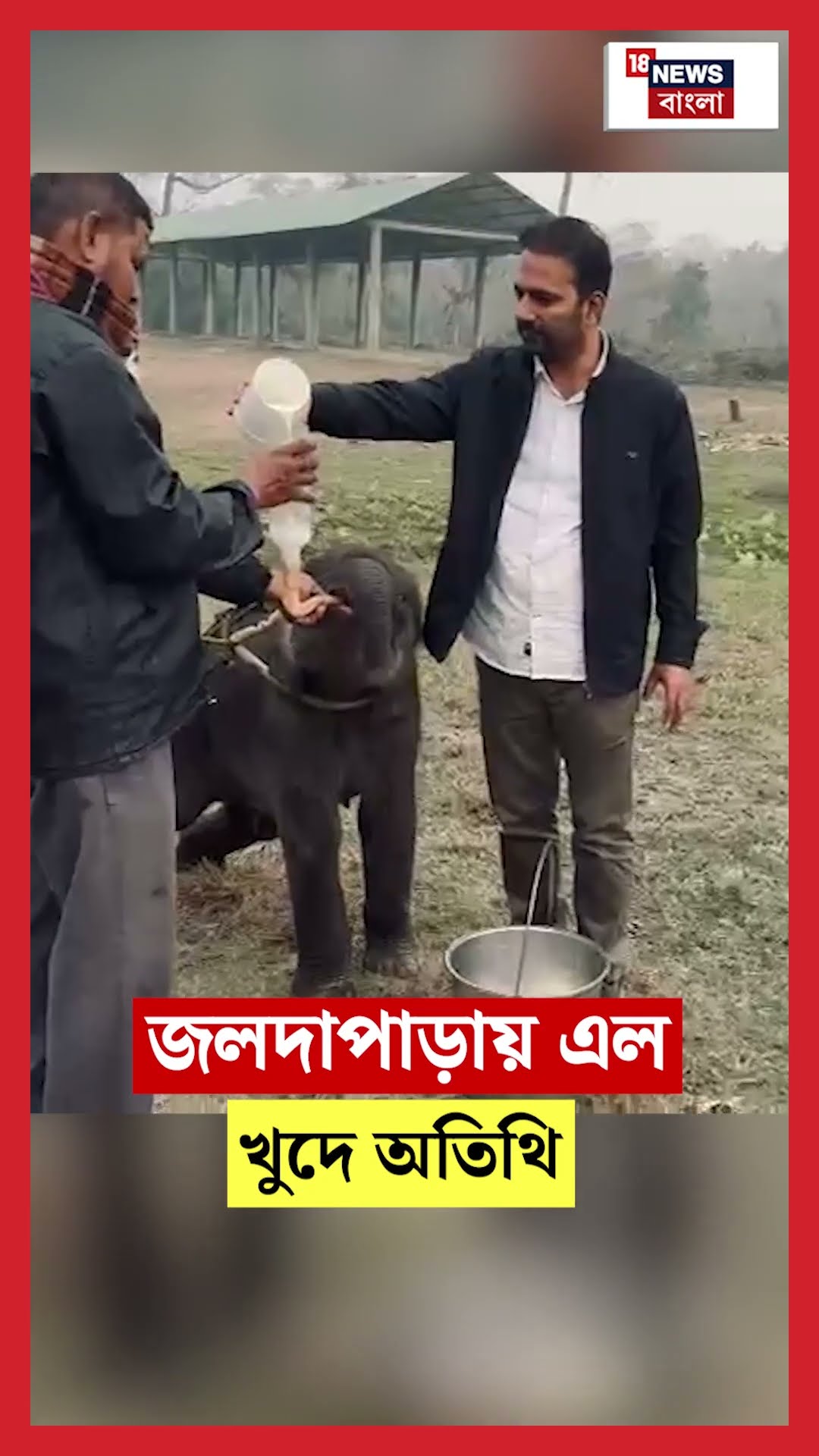 Jaldapara য় এল খুদে অতিথি । Bangla News | #shorts