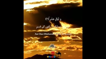 Qurantranslation Surat No 89 : سورة الفجر... #quran #trending #video #fyp  #viral .....